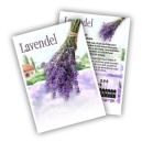 Lavendel Echte