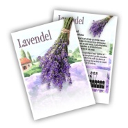 Lavendel Echte