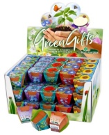 Terracotta showdoos gemengd 60 stuks