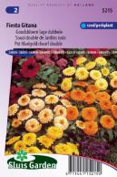 Goudsbloem Fiesta Gitana mix