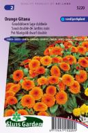 Goudsbloem Orange Gitana